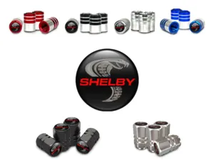 Shelby Wheels Valve Covers for Truck Custom Build